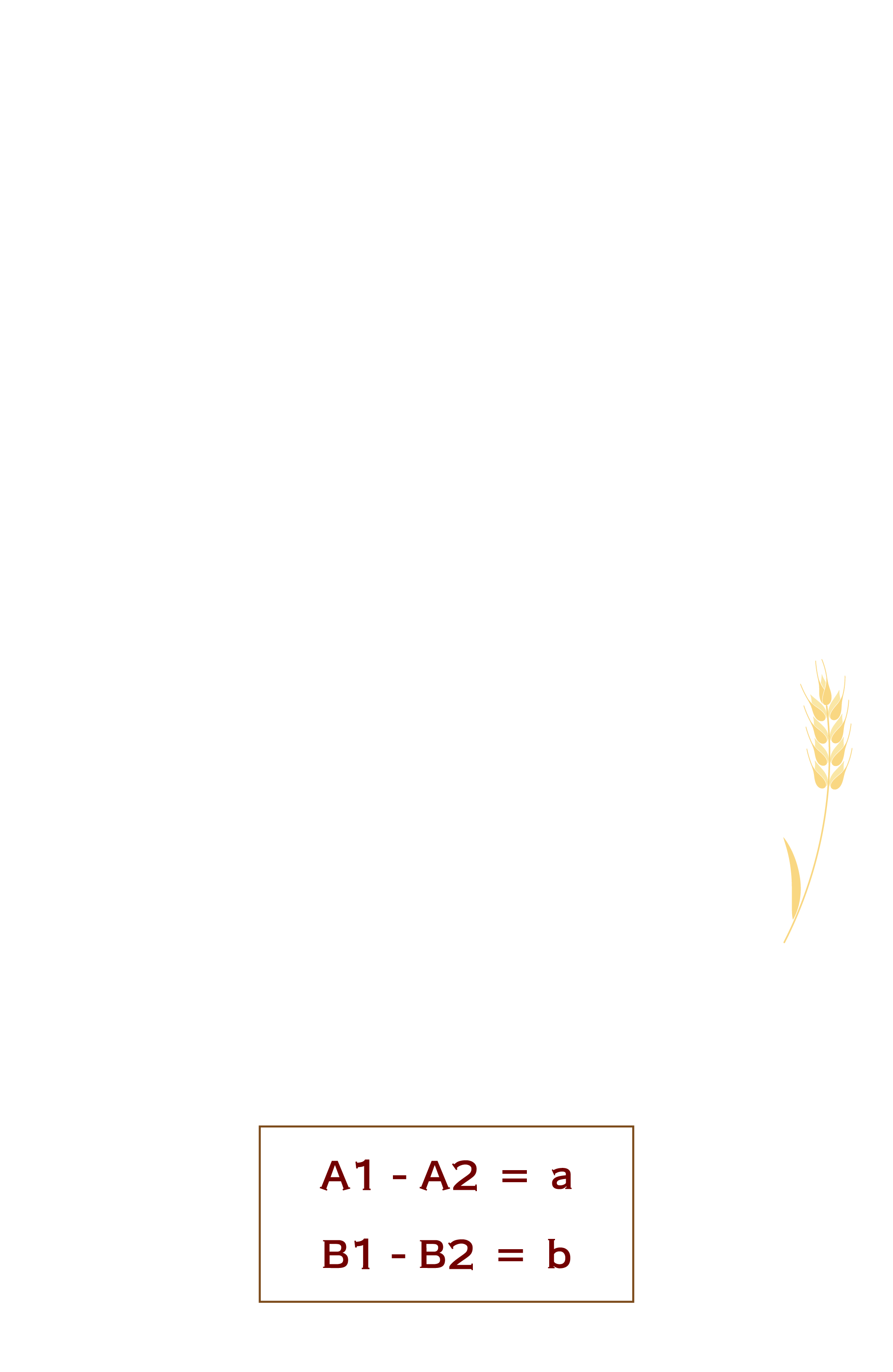 STORY